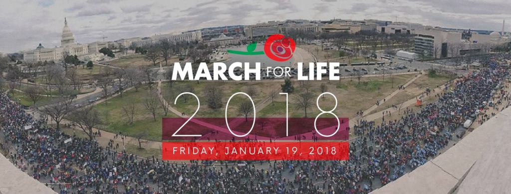US March for Life crowd 2018